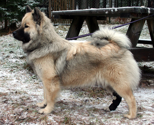 Cleo 9 månader