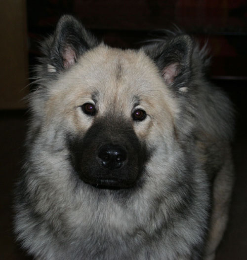 Cleo 9 månader