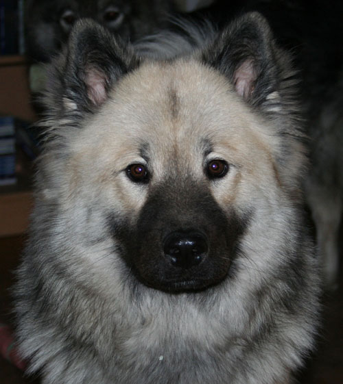 Cleo 9 månader