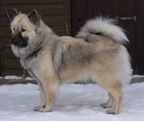Cleo 10 månader